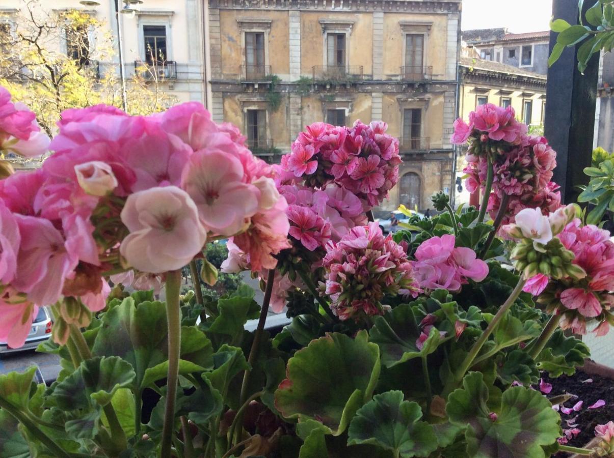 Cesare'S Home Catania Bagian luar foto