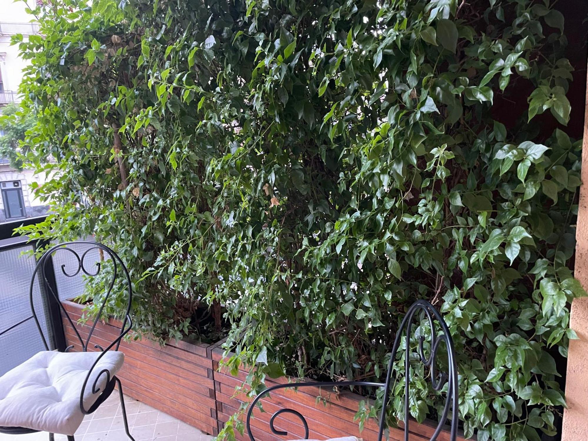 Cesare'S Home Catania Bagian luar foto